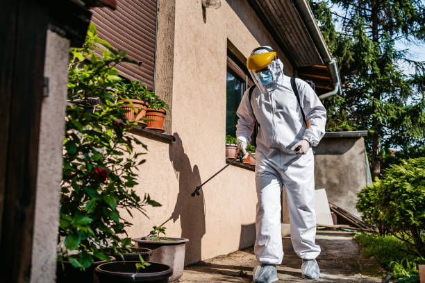 Best Affordable Exterminators  in Boulder, CO