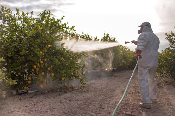 Best Emergency Pest Control  in Boulder, CO