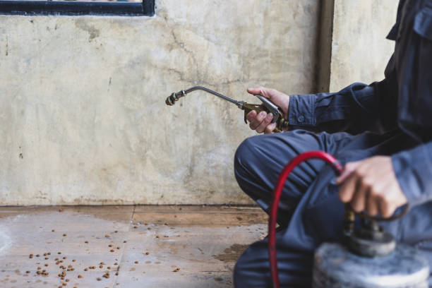 Trusted Boulder, CO Pest Control Experts